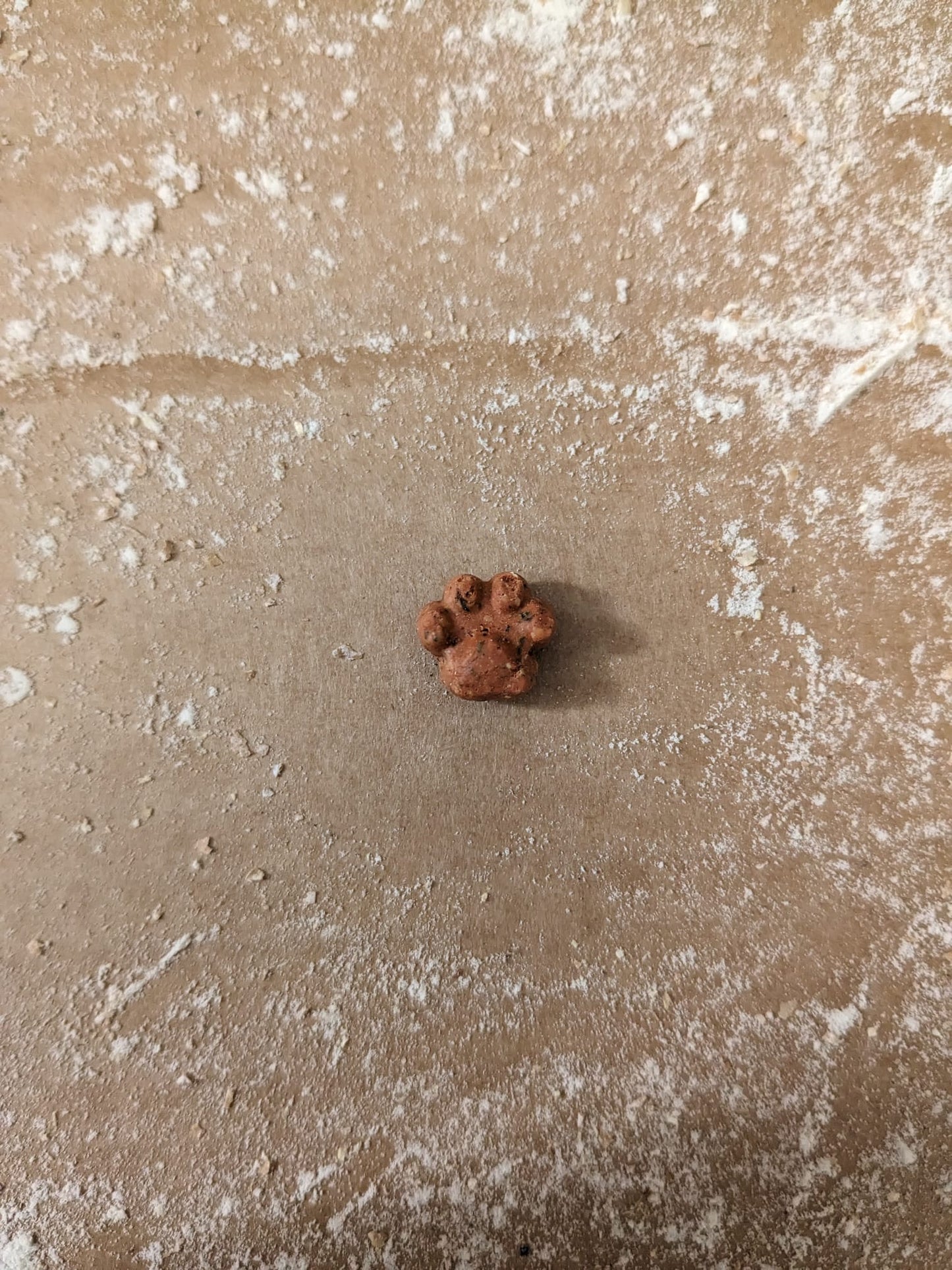 Grain-Free Salmon & Dill Mini-Paws