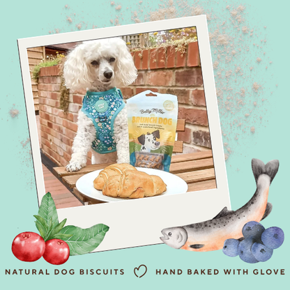 Brunch Dog
