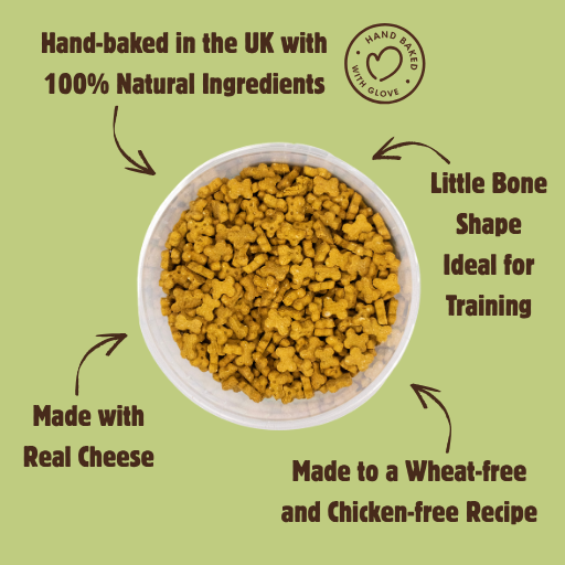 Wheat-Free Cheese Minis