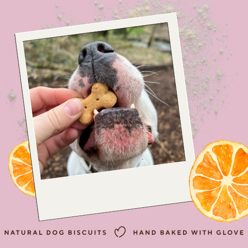 Grain-Free Duck & Orange