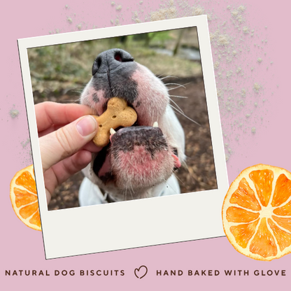 Grain-Free Duck & Orange