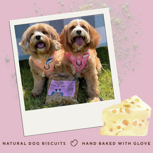 Two dogs with a package of natural dog biscuits on a pink background with cheese illustration.