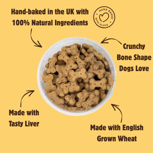 Liver Bones