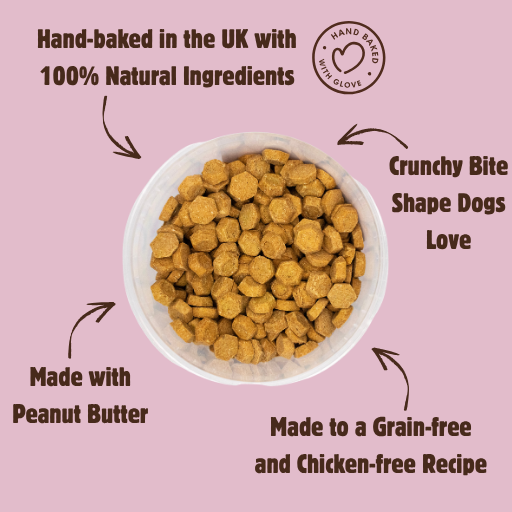 Grain-Free Peanut Butter Bites