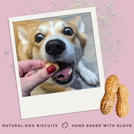 Grain-Free Peanut Butter Bites