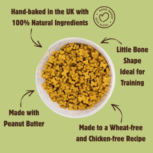 A bowl of yellow-brown bone-shaped dog treats centered on a light olive-green background with surrounding text callouts and a circular 'Hand Baked with Glove' logo.