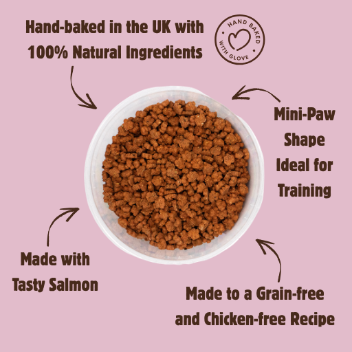 Grain-Free Salmon & Dill Mini-Paws