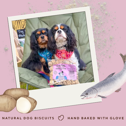 Grain-Free Whitefish & Potato Paws